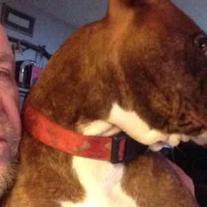 Meet your Posher, Brian